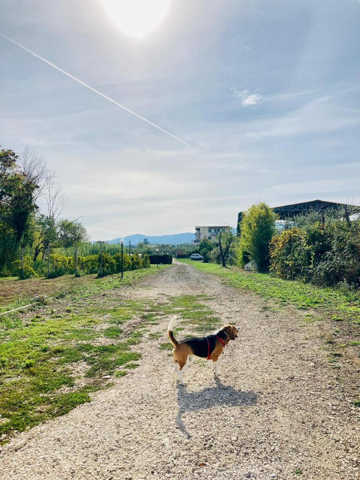 Villa Bubu, Appartamento Country-Chic Rom Exterior foto